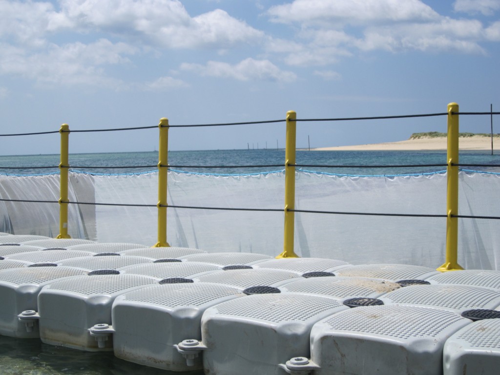 Ponton flottant