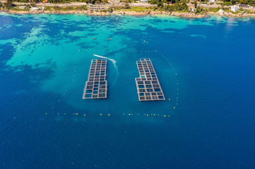 PONTONS FLOTTANTS CUBISYSTEM - FERME AQUACOLE