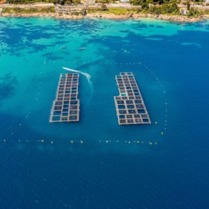 PONTONS FLOTTANTS CUBISYSTEM - FERME AQUACOLE