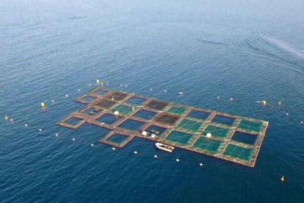 PONTONS FLOTTANTS CUBISYSTEM - FERME AQUACOLE